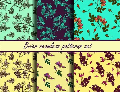 Briar seamless patterns set Stock Illustration