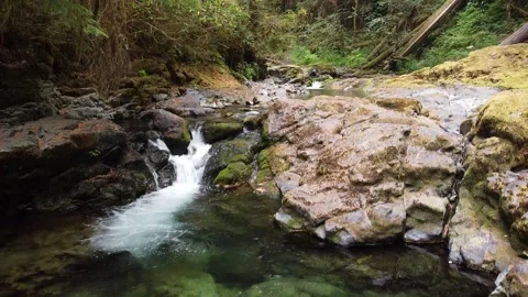 Brice Creek Stock Footage 160315268