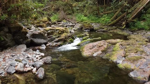 Brice Creek Stock Footage 160315462