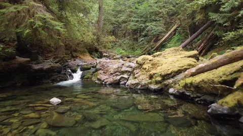 Brice Creek Stock Footage 160315522