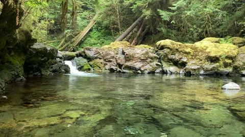 Brice Creek Stock Footage 160315874