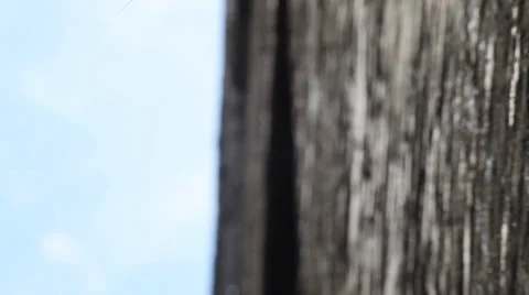 Brick and sky Stock Footage 33754659