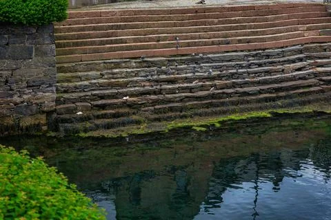 Brick and stone waterfront steps descend to dark tidal water with green algae Foto stock