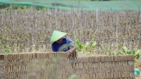 Brick Artisan Working at a Traditional Brick-Making Site Stock Footage 345618856