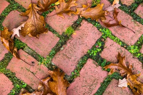 Brick backdrop Stock Photos