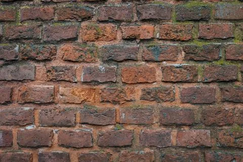 Brick background Stock Photos