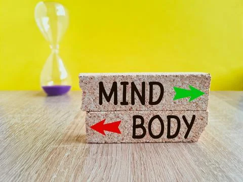 Brick blocks with words mind OR body with two arrows. Stock Photos