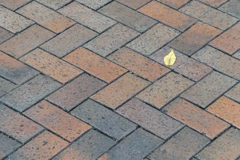 Brick brown brick pattern with a yellow leaf Stock Photos