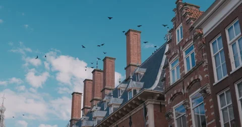 Brick Building with Flying Birds Stock Footage 341837120