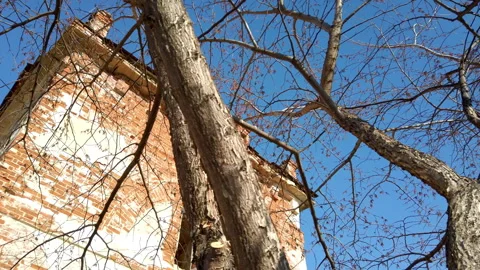 Brick Building With Tree in Background Stock Footage 275202428