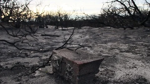 A brick in the burned woods Stock Footage 94256066