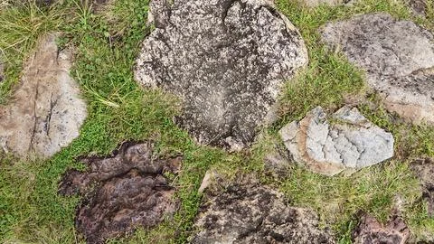 Brick cobblestone texture. Foto stock