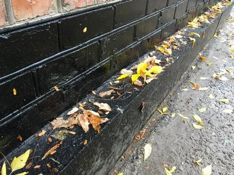Brick facade with fallen leaves Stock Photos