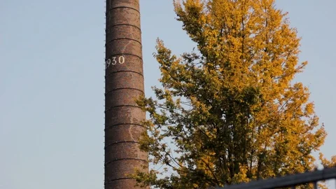 Brick Factory Chimney With Tree Stock Footage 127032164