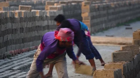 Brick factory workers stacking cement blocks at a construction site in Stock Footage 346677657