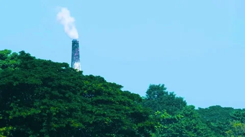 Brick Field Chimney Stack Billowing Smokes Near Tropical Forest With Video stock 275842348