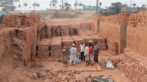 Brick field worker carrying complete finish brick Stock Footage 102575043