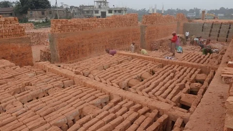 Brick field worker carrying complete finish brick Stock Footage 102575123