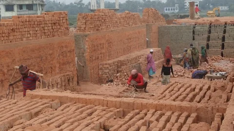 Brick field worker carrying complete finish brick Stock Footage 102575614