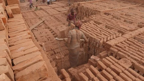 Brick field worker carrying complete finish brick Stock Footage 102575709
