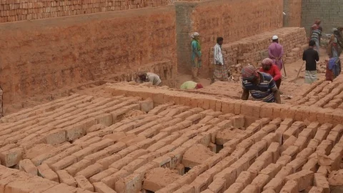 Brick field worker carrying complete finish brick Stock Footage 102575887