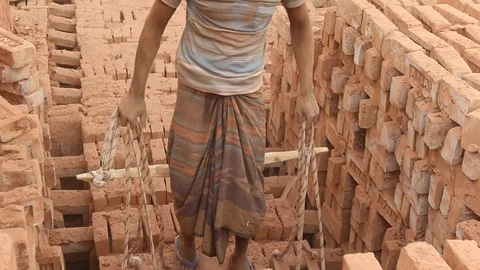 Brick field worker carrying complete finish brick Stock Footage 102576952