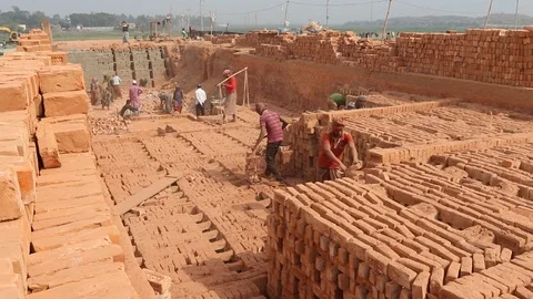 Brick field worker carrying complete finish brick Stock Footage 102577138