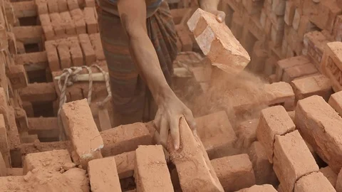 Brick field worker carrying complete finish brick Stock Footage 102577599