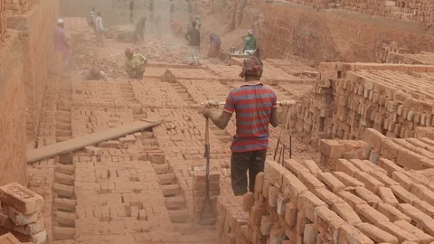 Brick field worker carrying complete finish brick Stock Footage 102577617