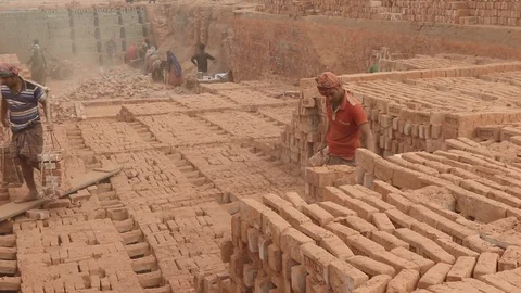 Brick field worker carrying complete finish brick Stock Footage 102577900