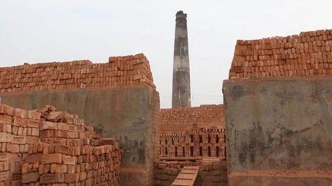 Brick field worker carrying complete finish brick Video stock 102578404