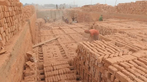 Brick field worker carrying complete finish brick Video stock 102578441