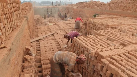 Brick field worker carrying complete finish brick Stock Footage 102578460