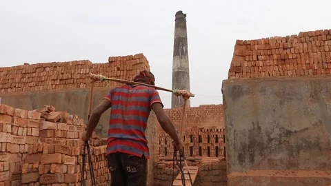 Brick field worker carrying complete finish brick Stock Footage 102578500