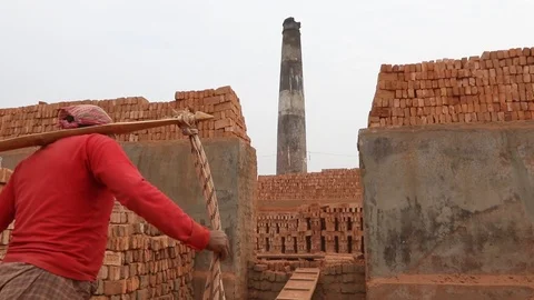 Brick field worker carrying complete finish brick Stock Footage 102578617