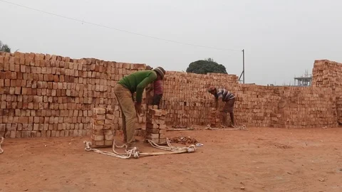 Brick field worker carrying complete finish brick Stock Footage 102578797