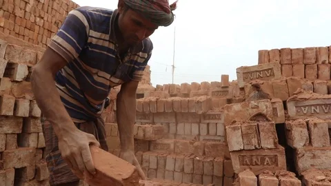 Brick field worker carrying complete finish brick Stock Footage 102578807