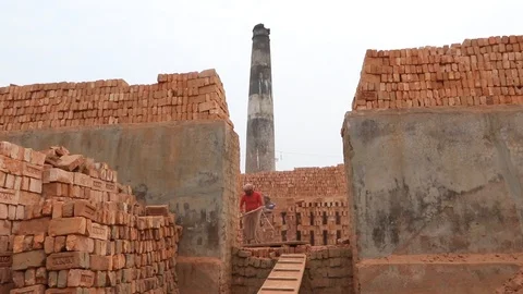 Brick field worker carrying complete finish brick Stock Footage 102578815