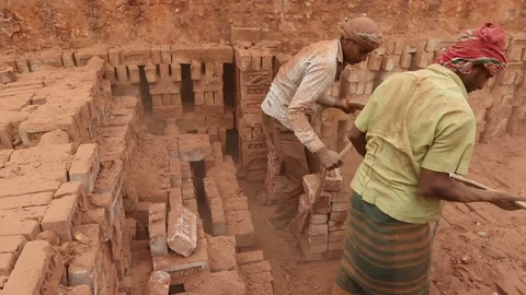 Brick field worker carrying complete finish brick Stock Footage 102578903