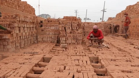 Brick field worker carrying complete finish brick Stock Footage 102579012