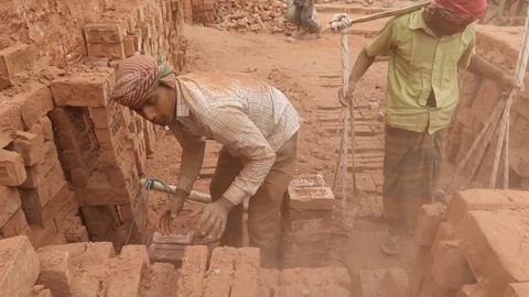 Brick field worker carrying complete finish brick Video stock 102579232