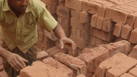 Brick field worker carrying complete finish brick Stock Footage 102579243