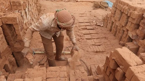 Brick field worker carrying complete finish brick Stock Footage 102579479