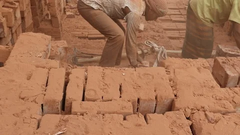 Brick field worker carrying complete finish brick Stock Footage 102579550