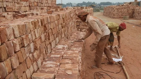 Brick field worker carrying complete finish brick Stock Footage 102579567