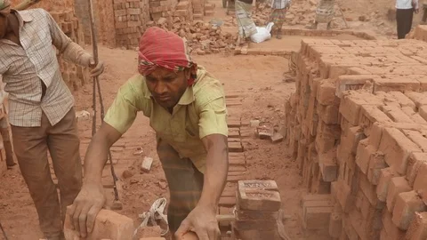 Brick field worker carrying complete finish brick Video stock 102579643