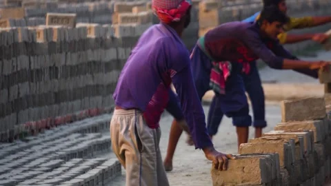 Brick Field Workers Stacking Raw Bricks in Bangladesh Stock Footage 345958608