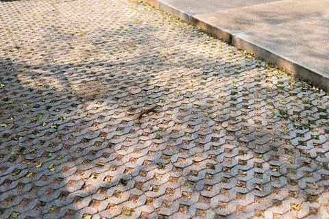 Brick floor with patterned on the ground Stock Photos