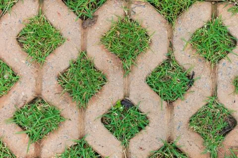Brick floors with grass background Stock Photos