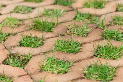 Brick floors with grass background Stock Photos